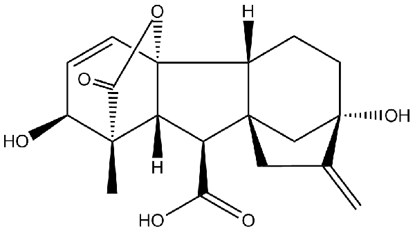 赤霉素GIBBERELLIC ACID，居然有這么神奇？